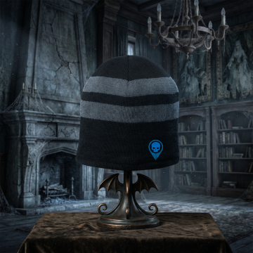 Fleece Lined Embroidered Beanie – Gray/Black
